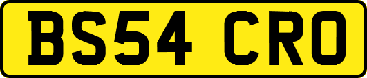 BS54CRO
