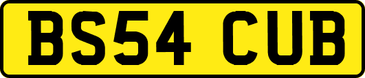BS54CUB
