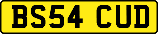 BS54CUD