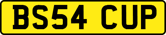 BS54CUP