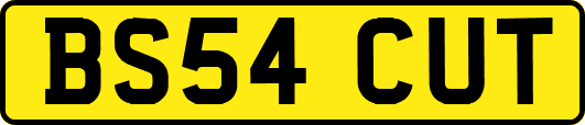 BS54CUT