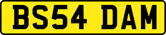 BS54DAM