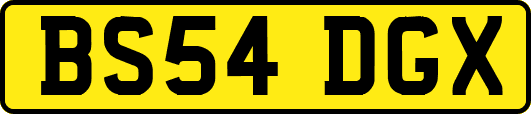 BS54DGX