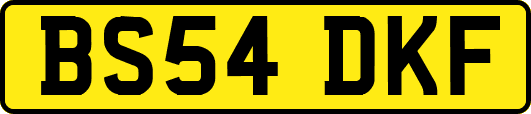 BS54DKF