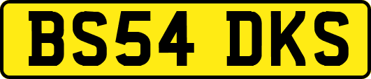BS54DKS