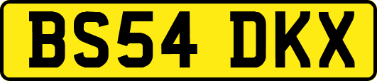 BS54DKX