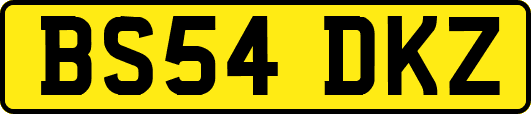 BS54DKZ