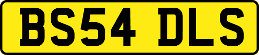 BS54DLS