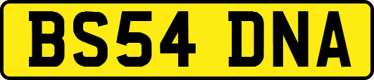 BS54DNA