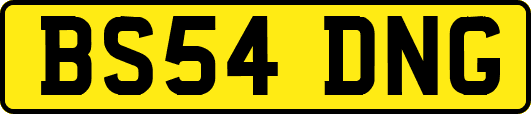 BS54DNG
