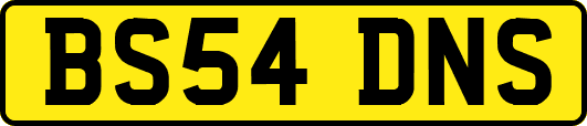 BS54DNS