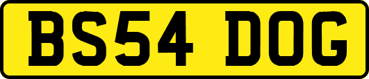 BS54DOG