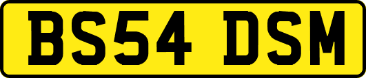 BS54DSM