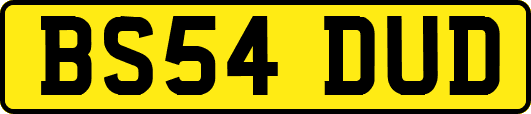 BS54DUD