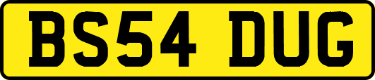 BS54DUG