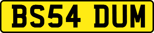 BS54DUM