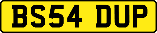 BS54DUP