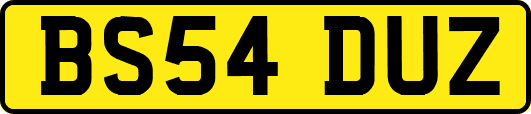 BS54DUZ