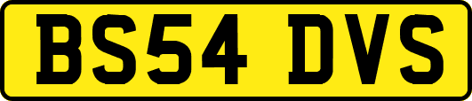 BS54DVS