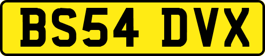 BS54DVX