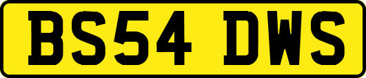 BS54DWS