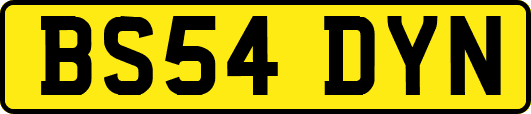 BS54DYN