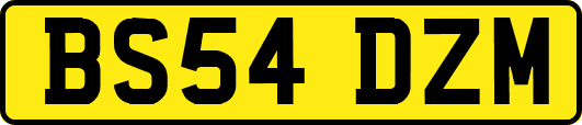 BS54DZM