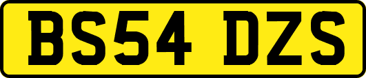 BS54DZS