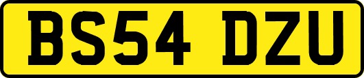 BS54DZU