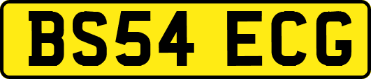 BS54ECG