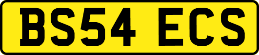 BS54ECS