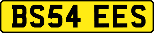 BS54EES