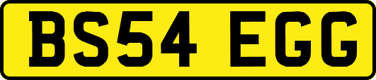 BS54EGG