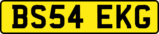 BS54EKG