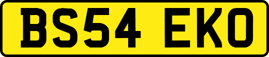 BS54EKO