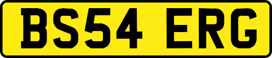 BS54ERG