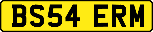 BS54ERM