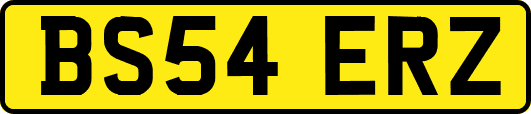 BS54ERZ