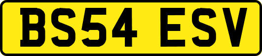 BS54ESV