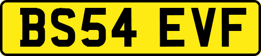 BS54EVF