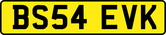 BS54EVK