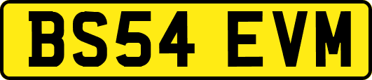 BS54EVM