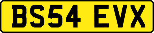 BS54EVX