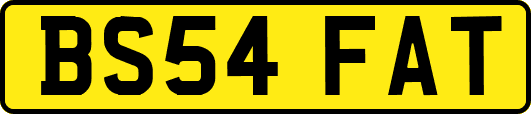 BS54FAT