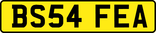 BS54FEA