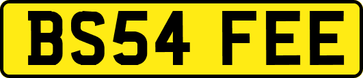 BS54FEE