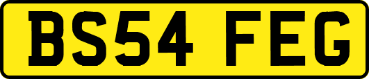 BS54FEG