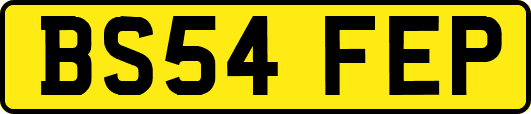 BS54FEP