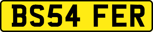 BS54FER