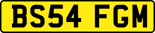 BS54FGM